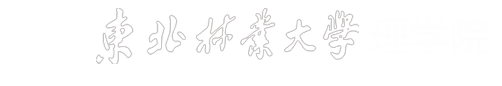美加墨世界杯官网